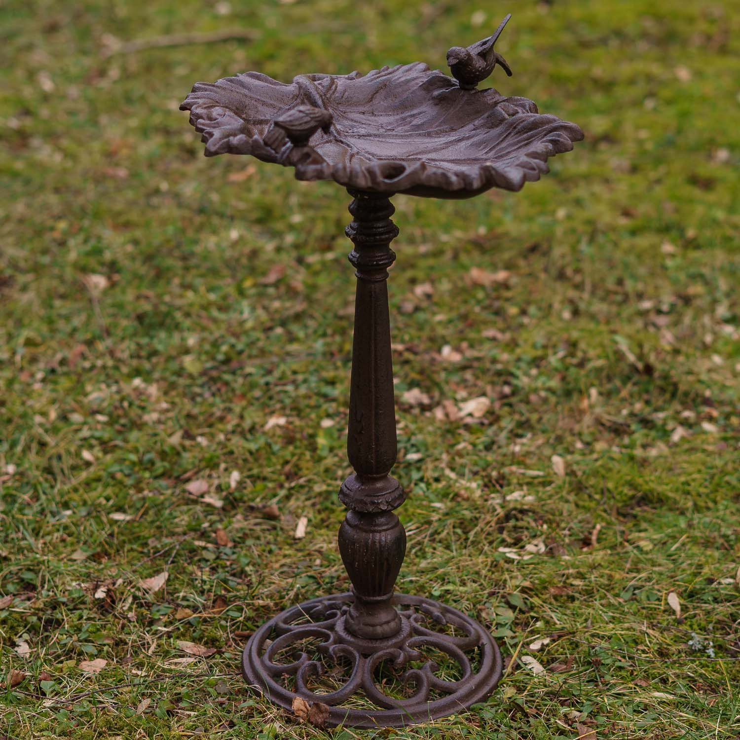 Vogeltränke Vogelbad Garten Vogelbecken Vogel Tränke Eisen Antik-Stil 61cm