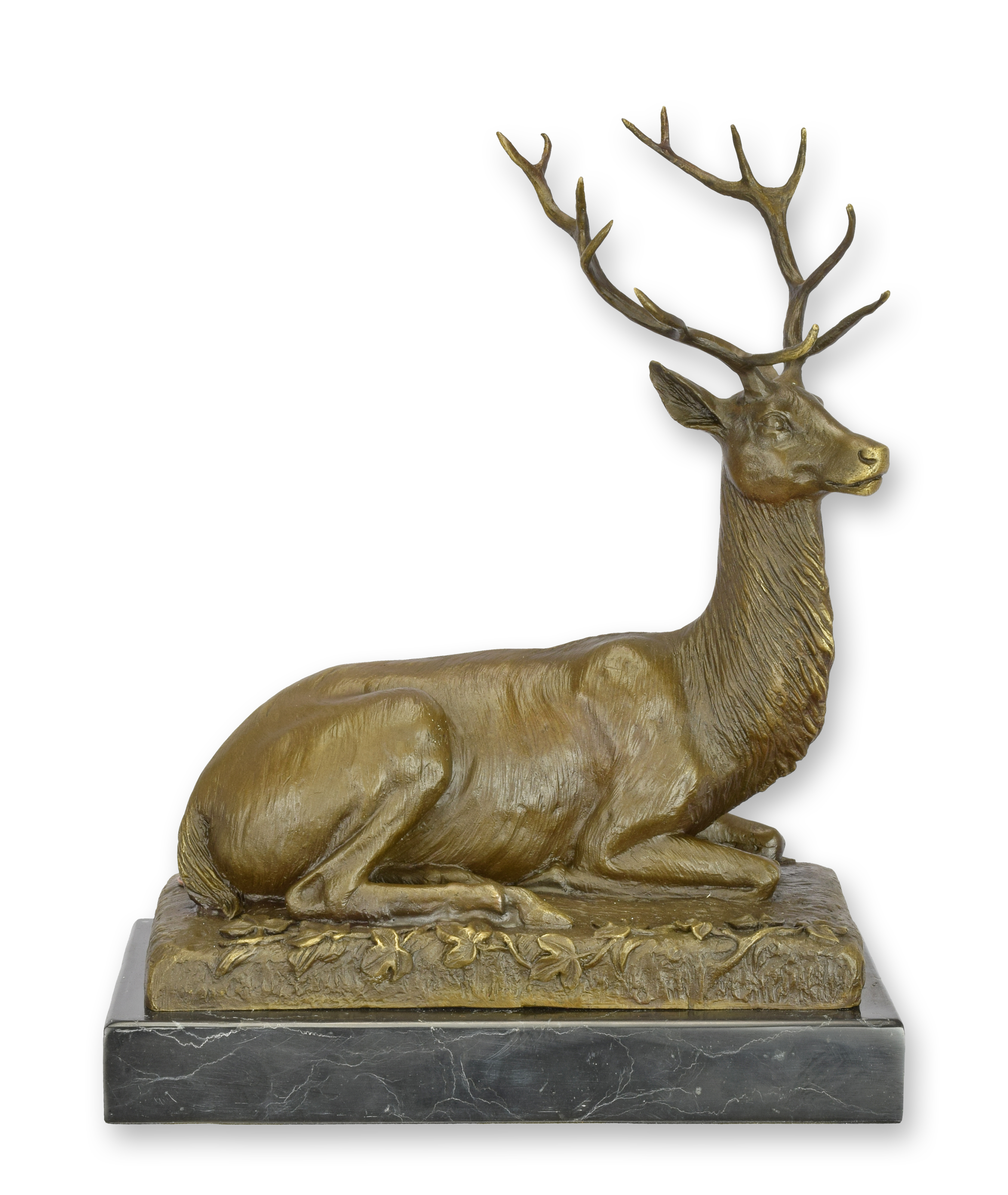 Hirsch, Säugetier, Tierwelt, Elch, Antilope