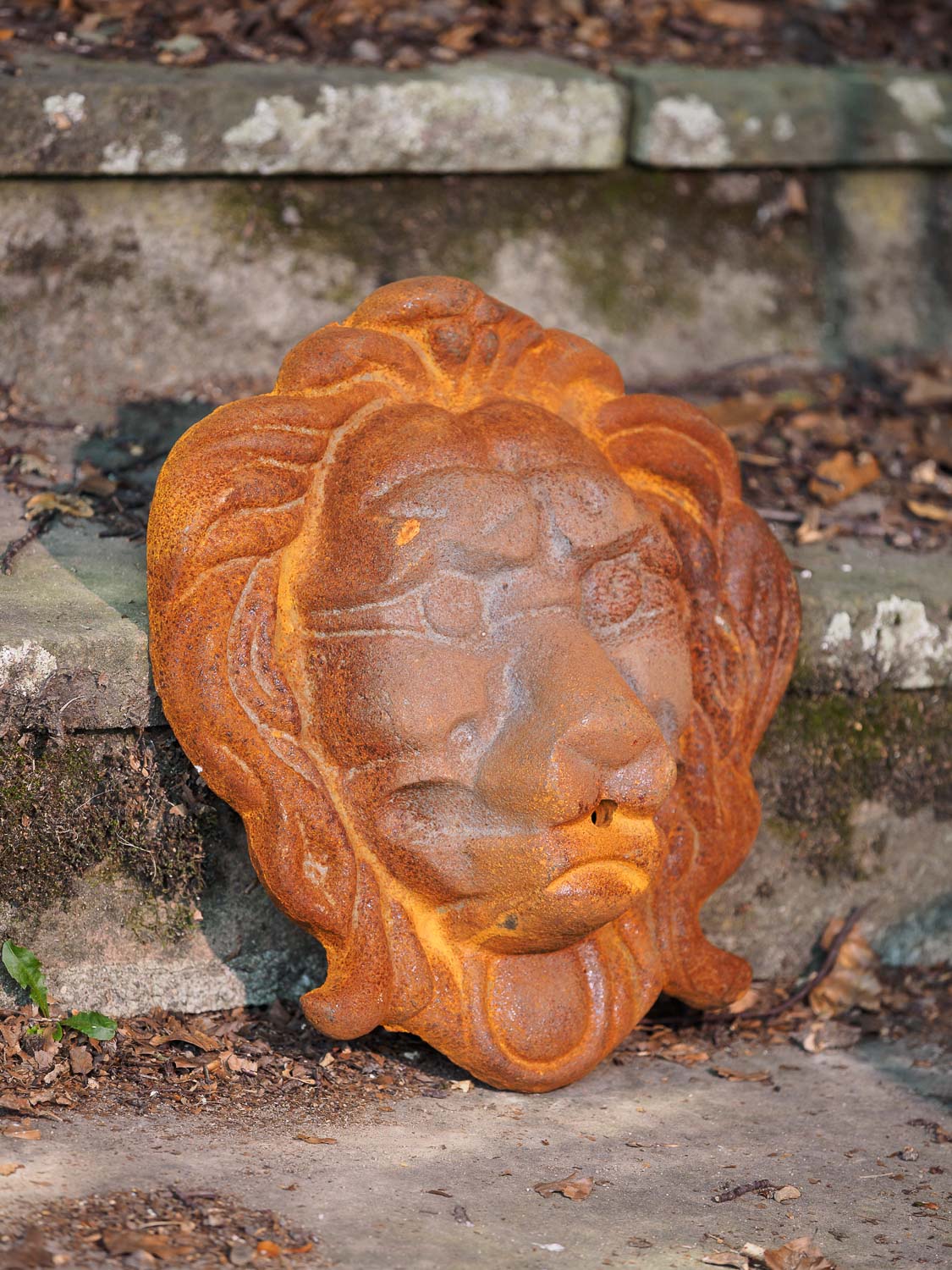 Löwenkopf Löwe Dekoration Eisen Wandbrunnen Wasserspeier Skulptur Figur