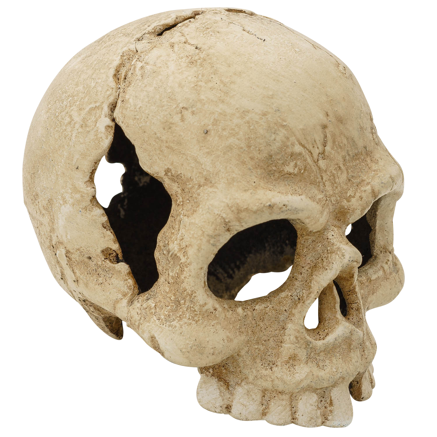 Teelichthalter Totenkopf Kerzenständer Figur Skulptur Eisen Antik-Stil