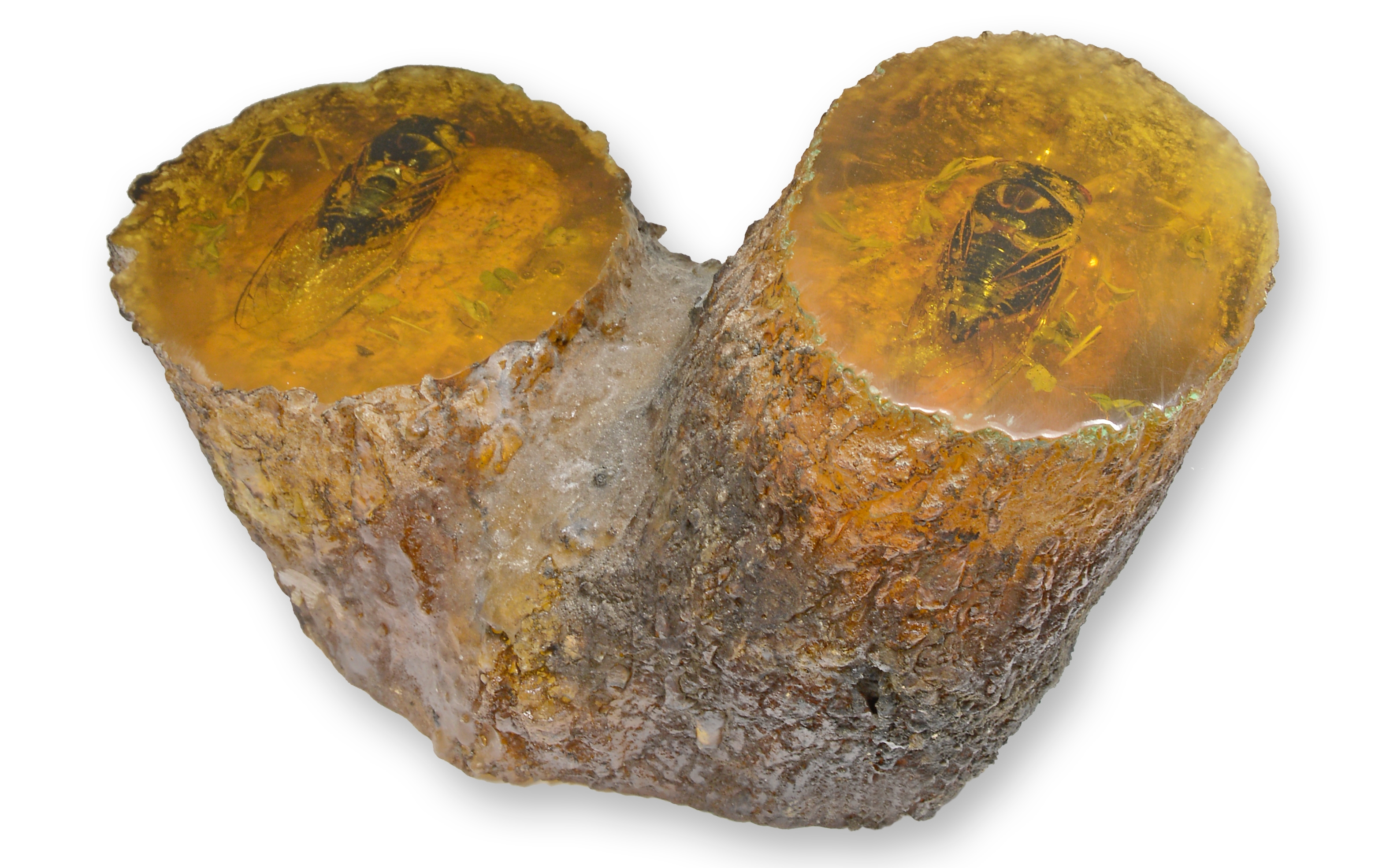 Baum, Holz, Edelstein, Baumstamm, Brot