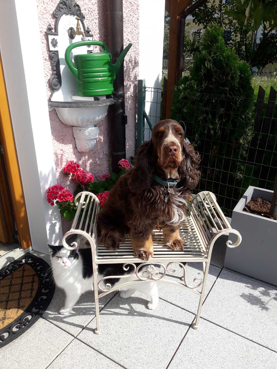 Gartenbank Eisen Metall Antik-Stil Garten Bank Gartenmöbel creme weiss 70cm