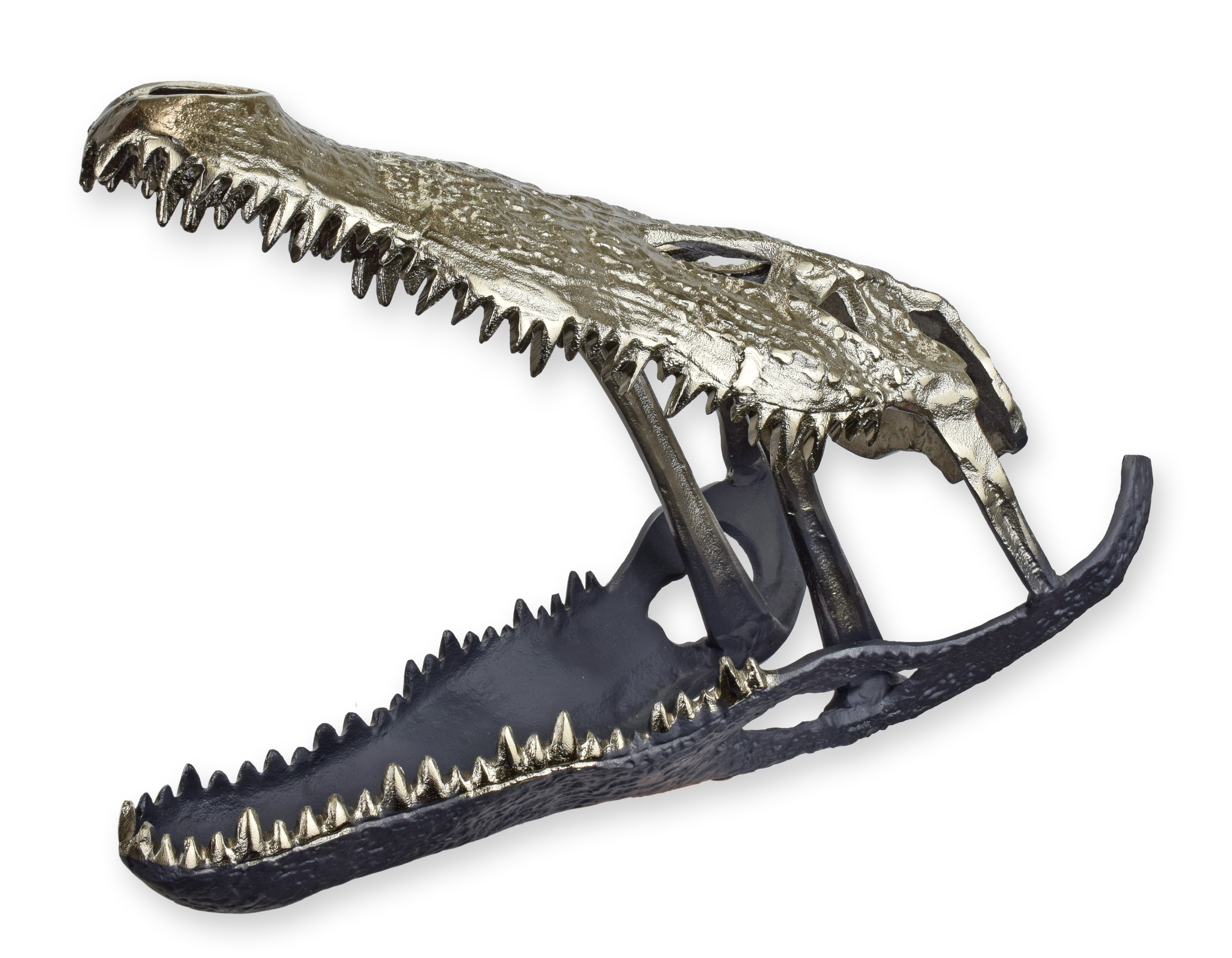 Tier, Dinosaurier, Reptil